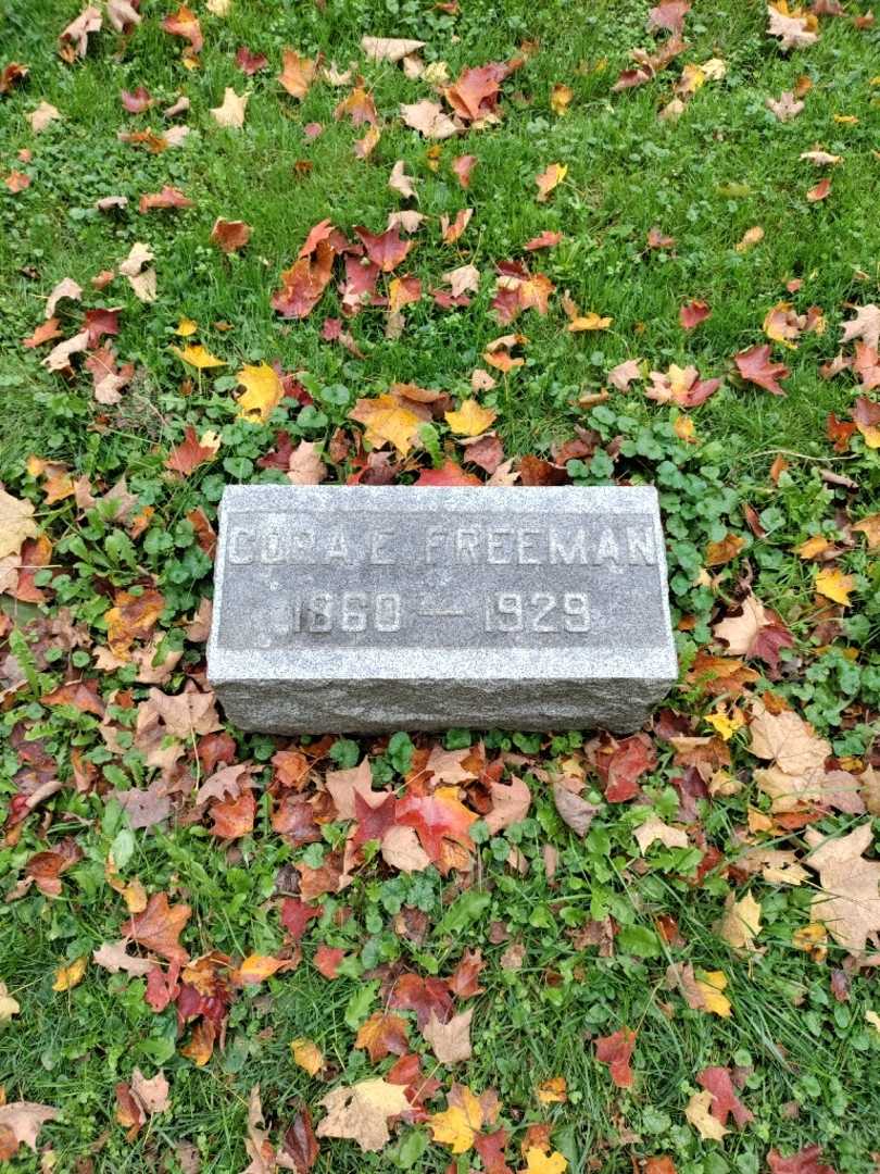 Cora Ethel Freeman's grave. Photo 2