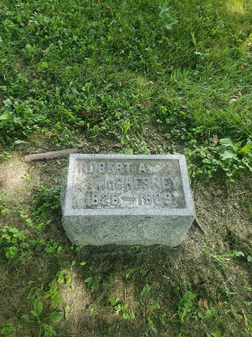 Robert A. McChesney's grave. Photo 2