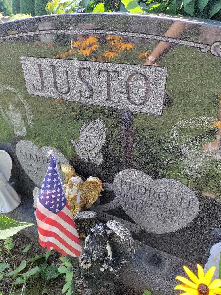 Pedro D. Justo's grave. Photo 3