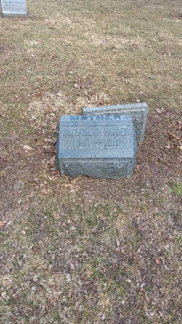 Elizabeth Reidel's grave. Photo 3