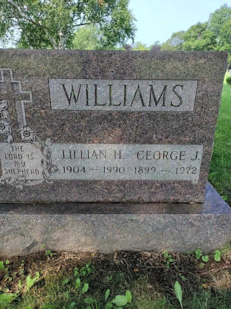 George J. Williams's grave. Photo 3