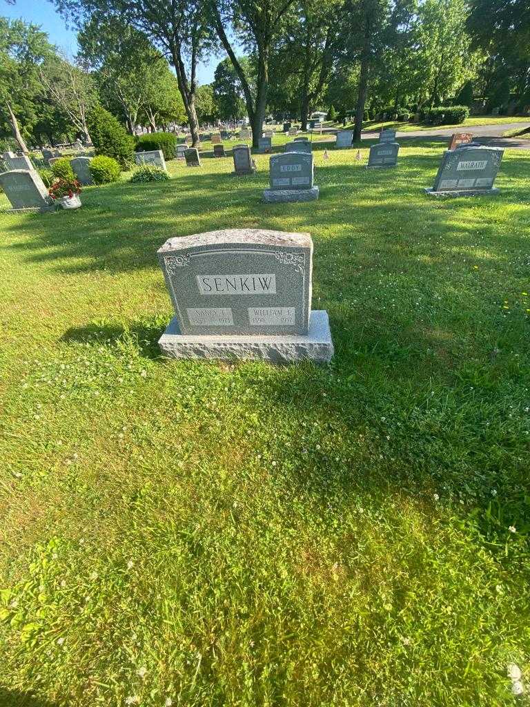 Nancy J. Senkiw's grave. Photo 1