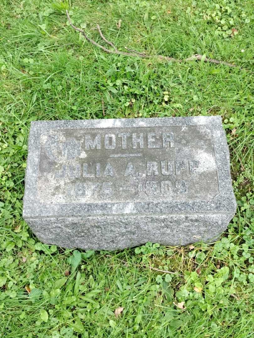 Julia A. Rupp's grave. Photo 3