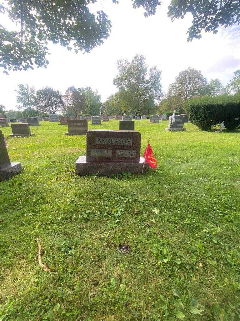 Walter R. Anderson's grave. Photo 2