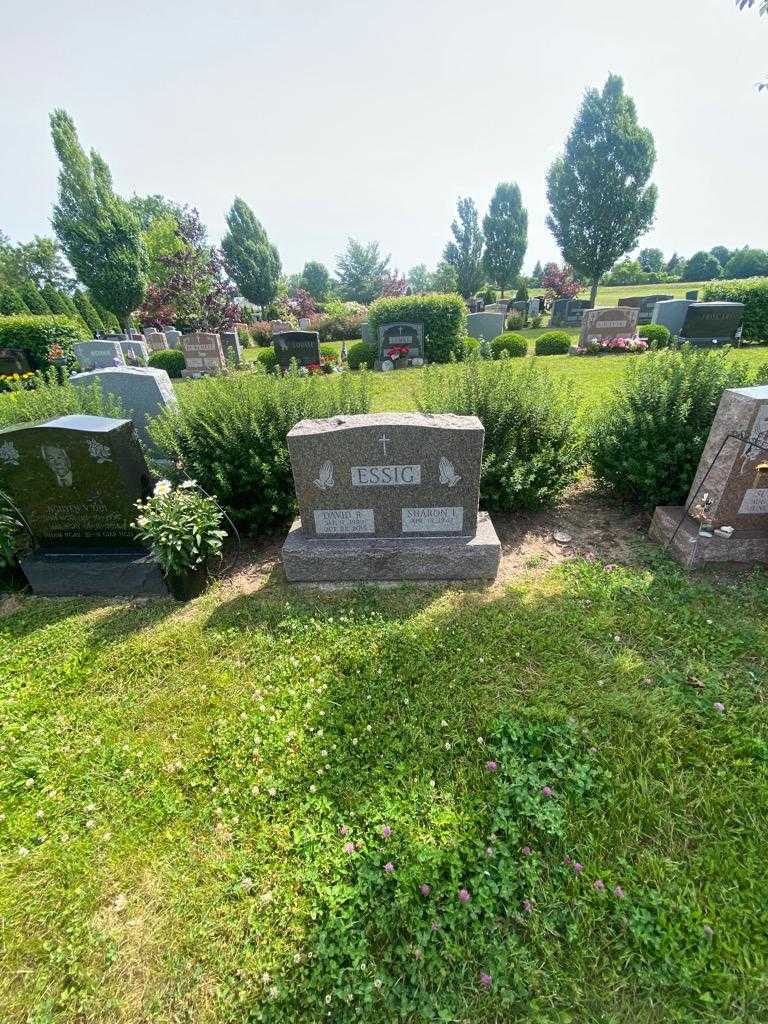 David R. Essig's grave. Photo 1