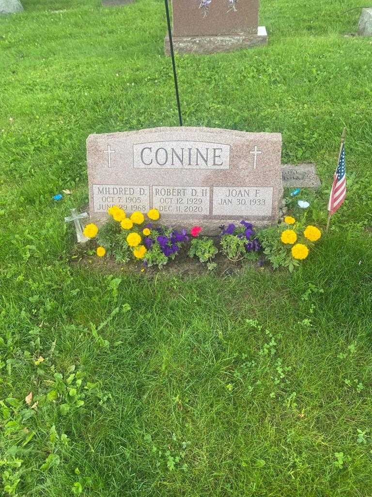 Robert D. Conine Second's grave. Photo 2