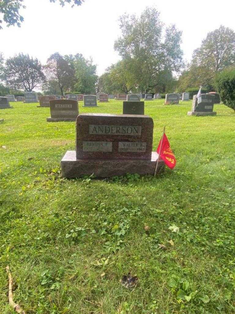 Walter R. Anderson's grave. Photo 3