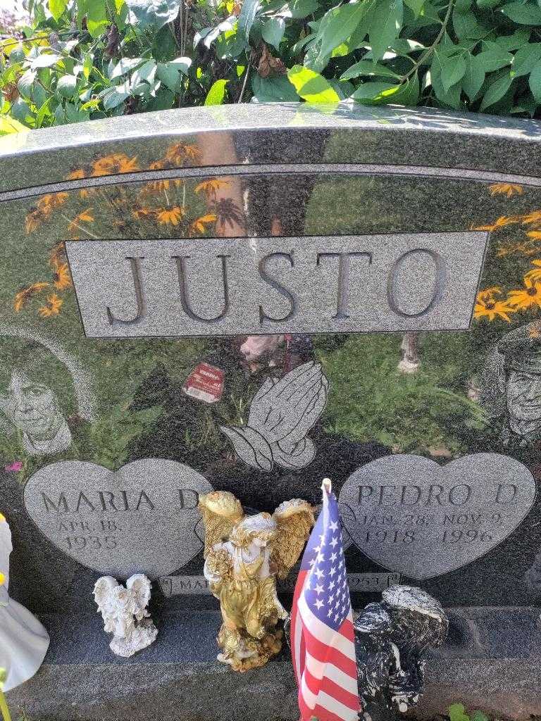 Pedro D. Justo's grave. Photo 4