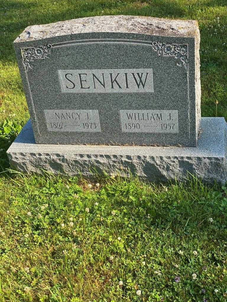Nancy J. Senkiw's grave. Photo 3