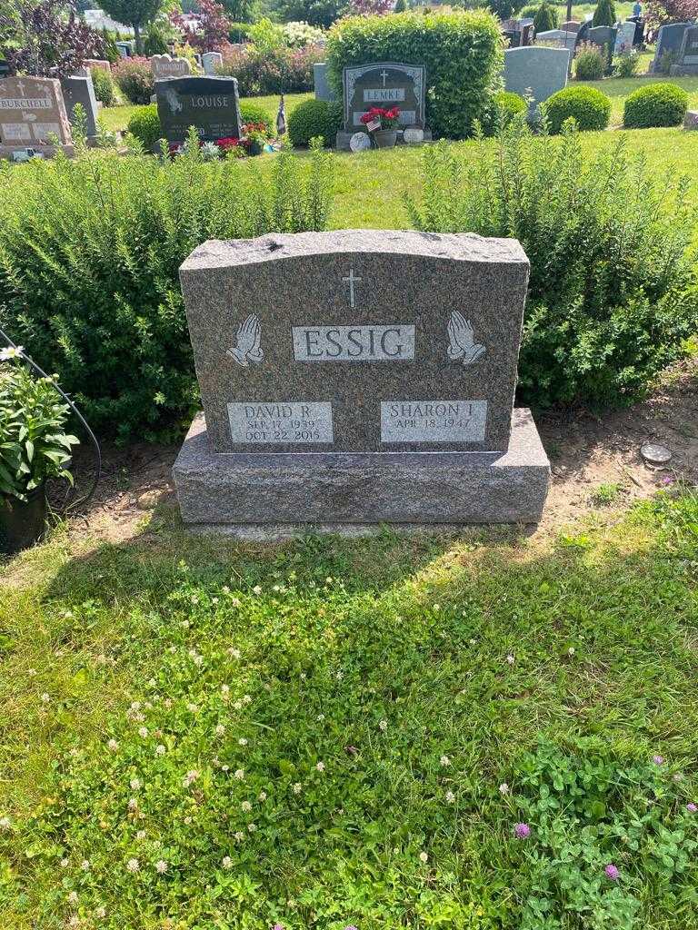 David R. Essig's grave. Photo 2