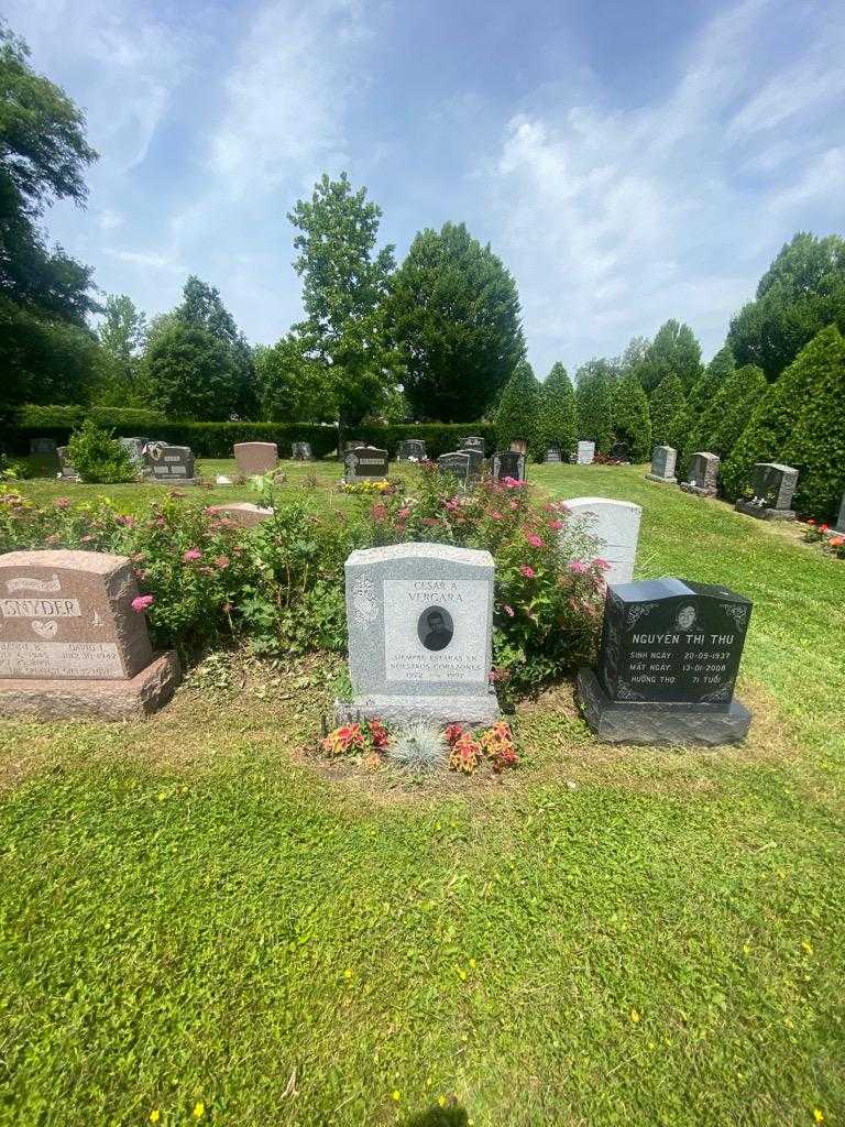 Cesar A. Vergara's grave. Photo 1