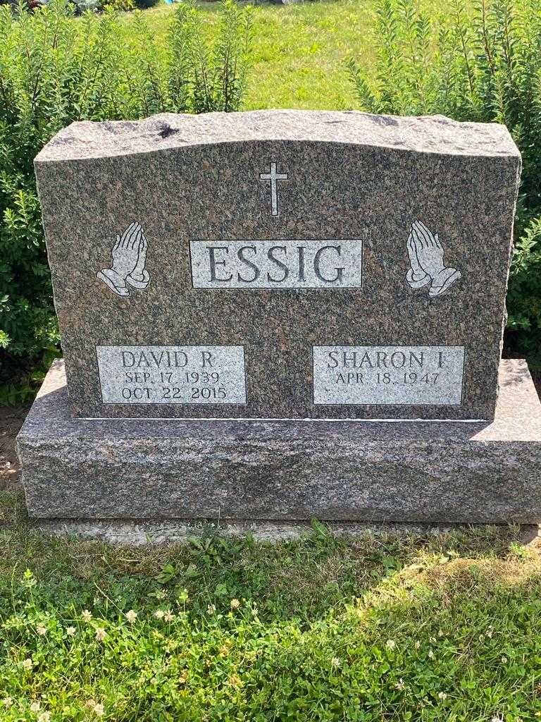 David R. Essig's grave. Photo 3