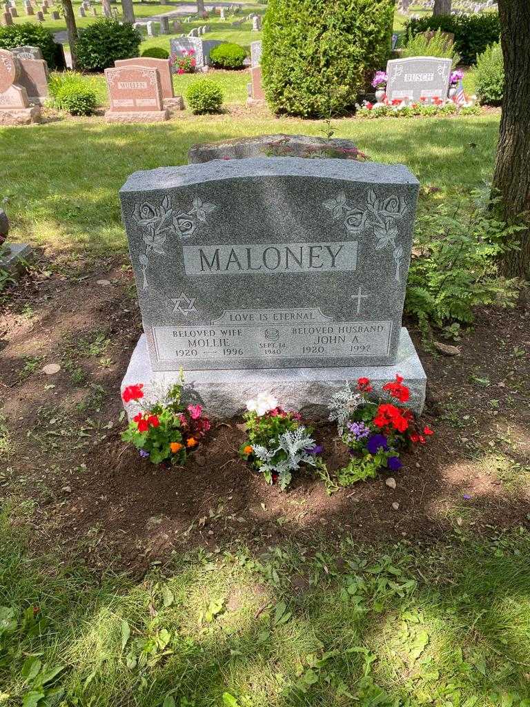 John A. Maloney's grave. Photo 2