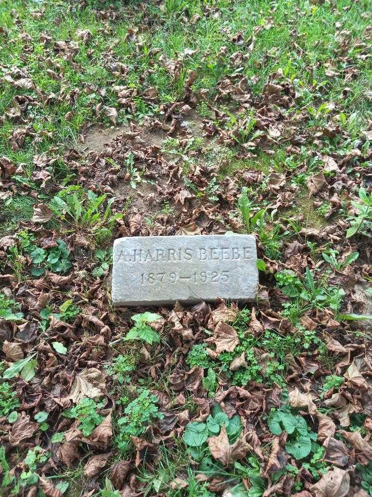 Amos Harris Beebe's grave. Photo 1