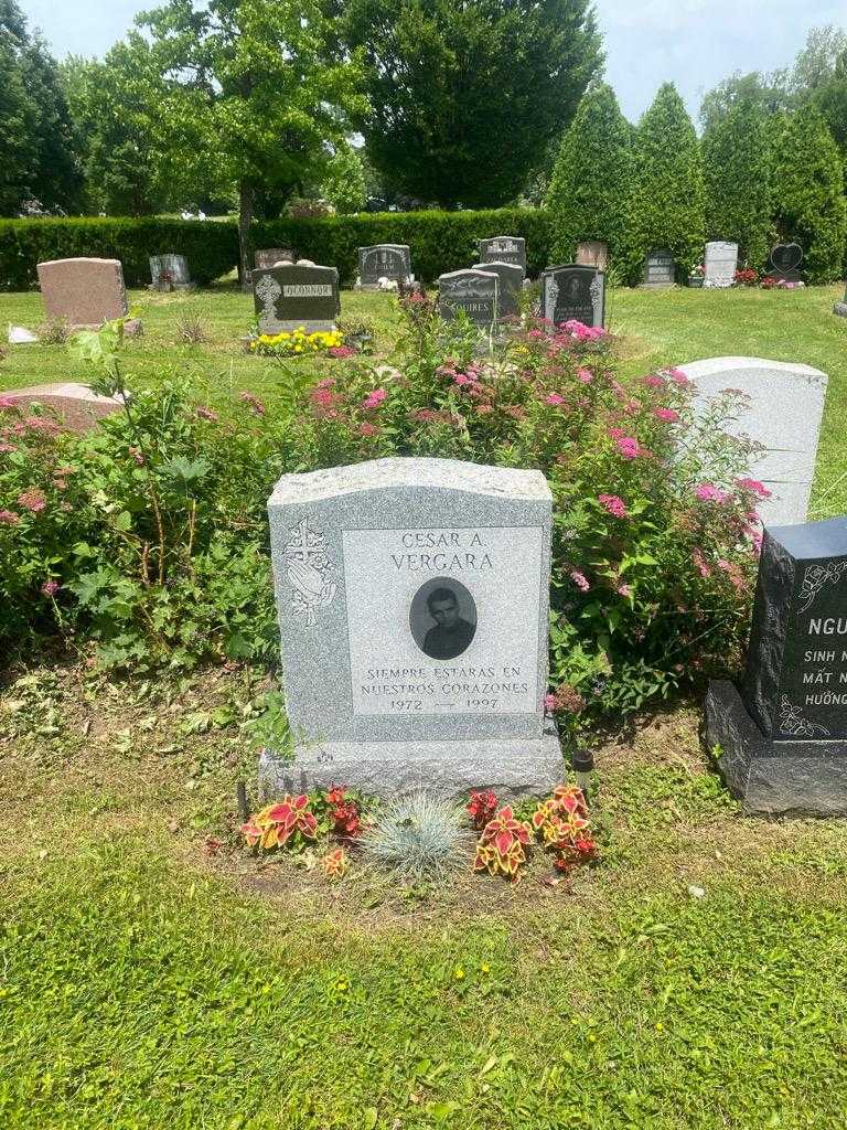 Cesar A. Vergara's grave. Photo 2