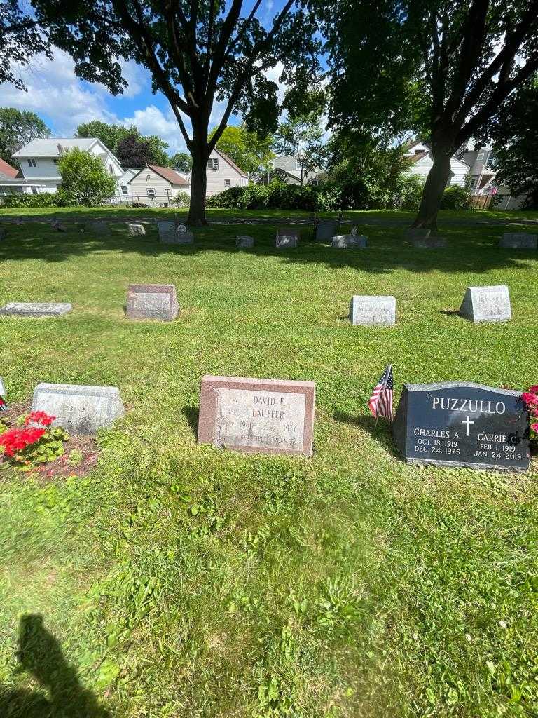 David E. Lauffer's grave. Photo 1
