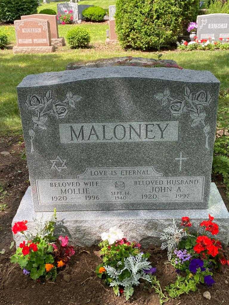 John A. Maloney's grave. Photo 3