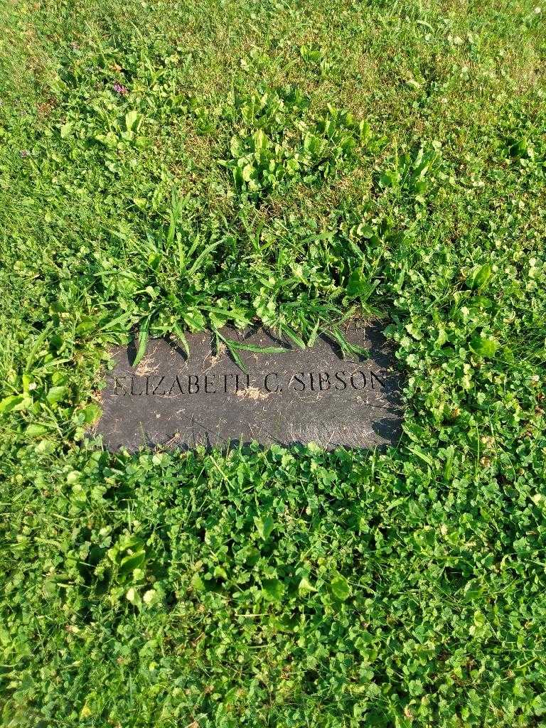 Elizabeth C. Sibson's grave. Photo 1