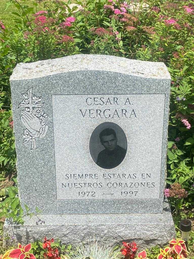 Cesar A. Vergara's grave. Photo 3