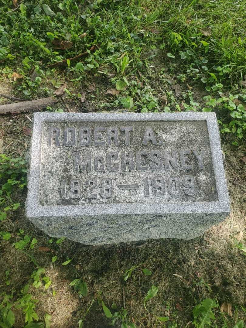 Robert A. McChesney's grave. Photo 3