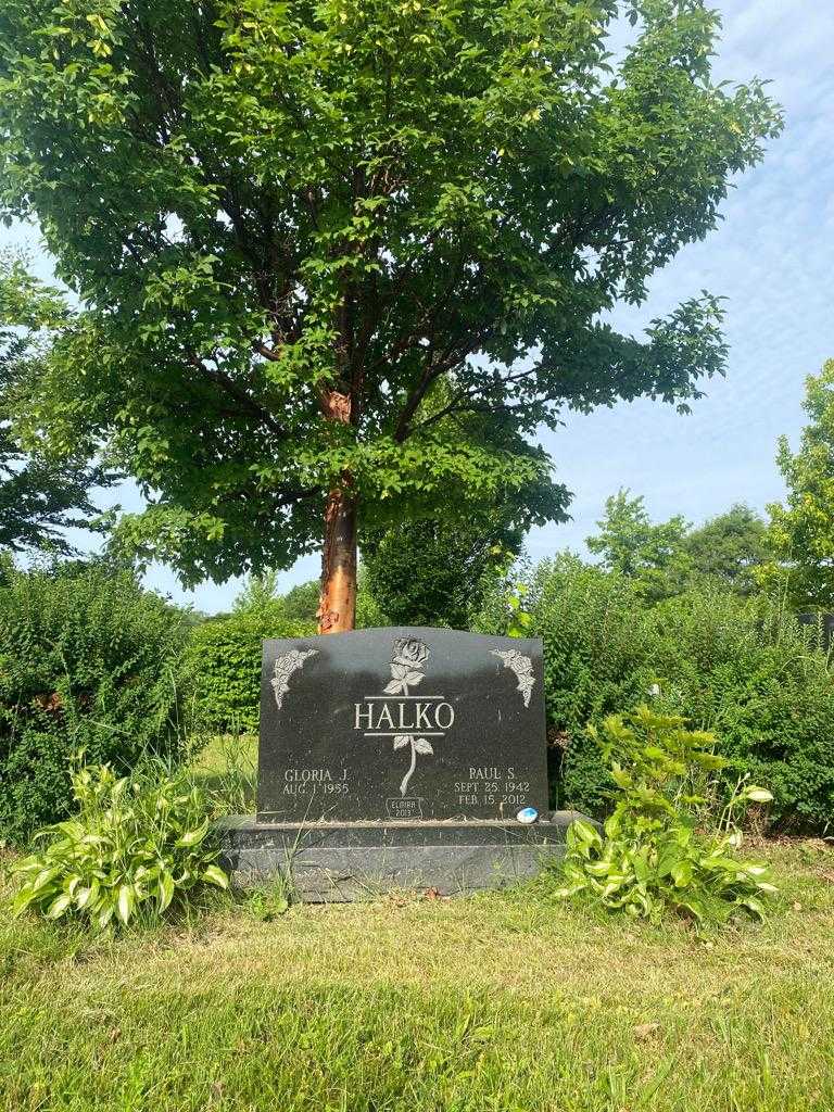 Paul S. Halko's grave. Photo 2