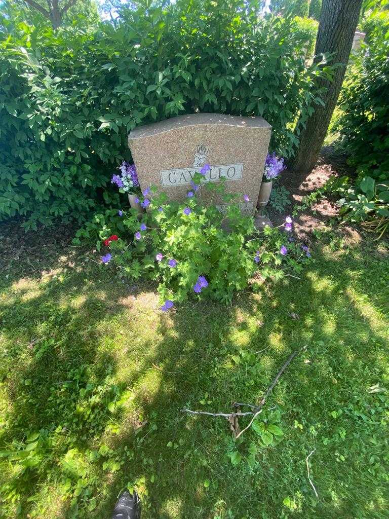 Victor J. Cavallo's grave. Photo 1