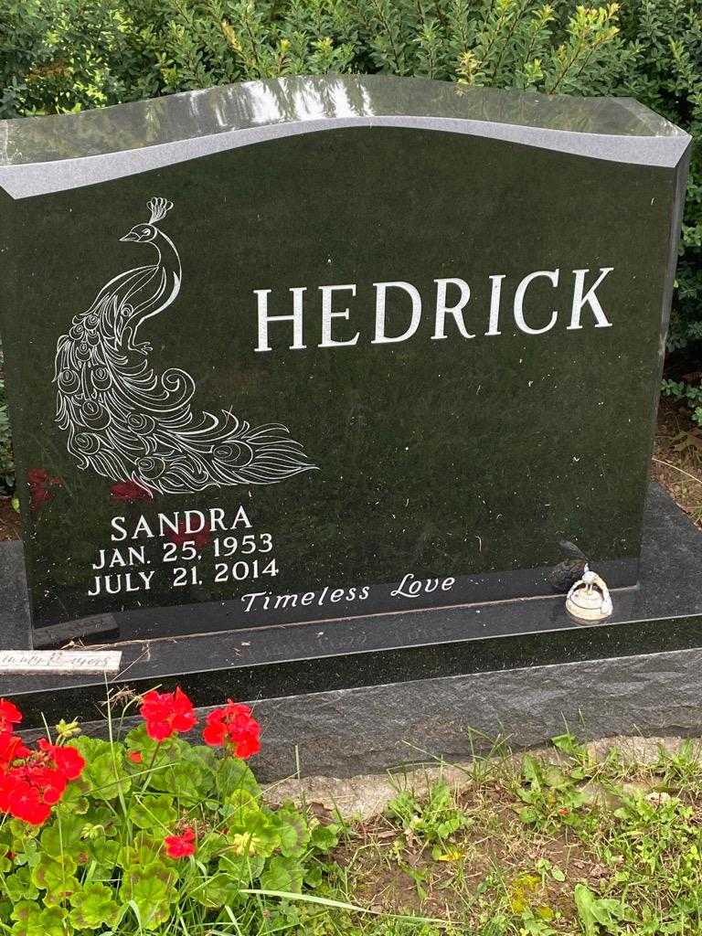 Sandra Hedrick's grave. Photo 3