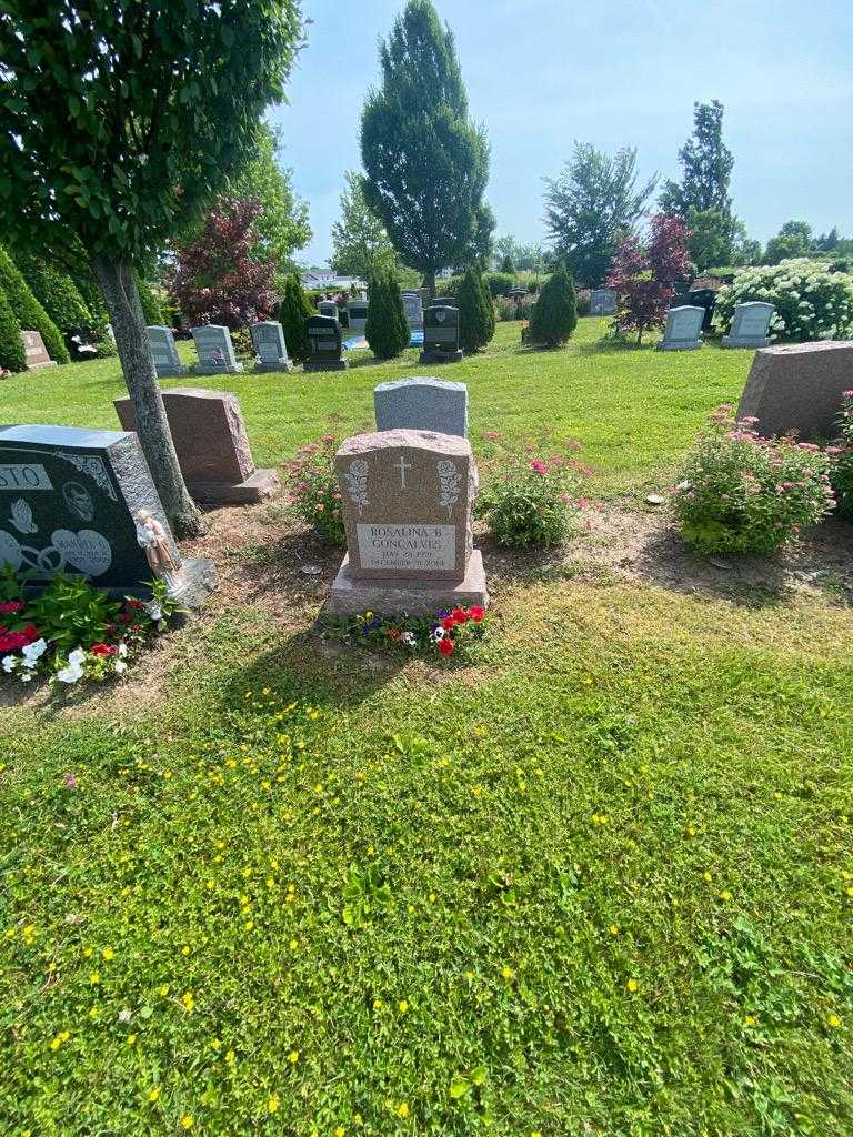 Rosalina B. Goncalves's grave. Photo 1