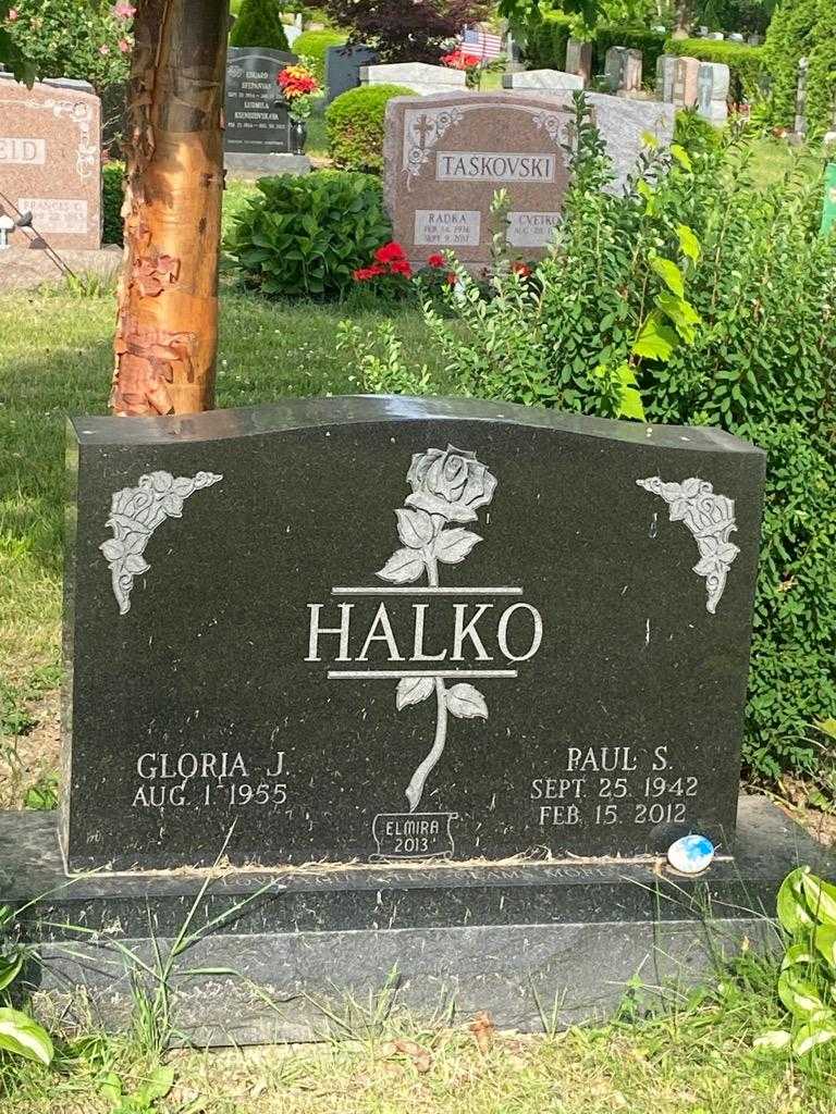 Paul S. Halko's grave. Photo 3