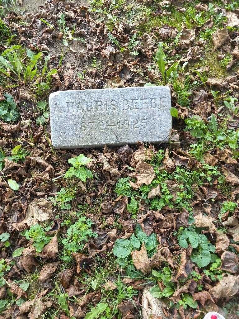 Amos Harris Beebe's grave. Photo 2