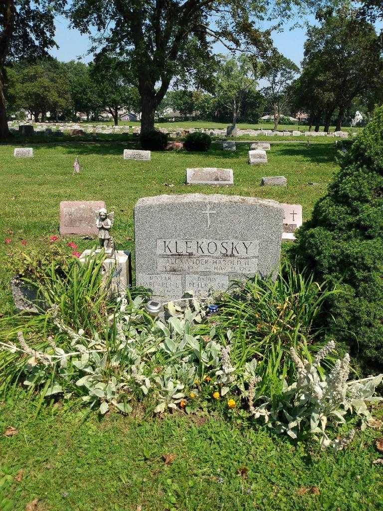 Alexander Harold Klekosky Second's grave. Photo 1