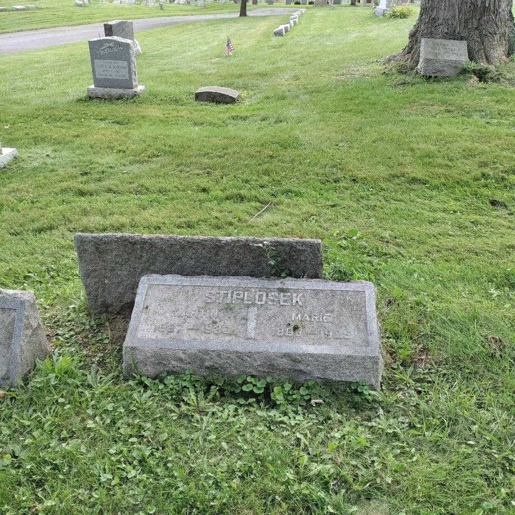 Martin Stiplosek's grave. Photo 1