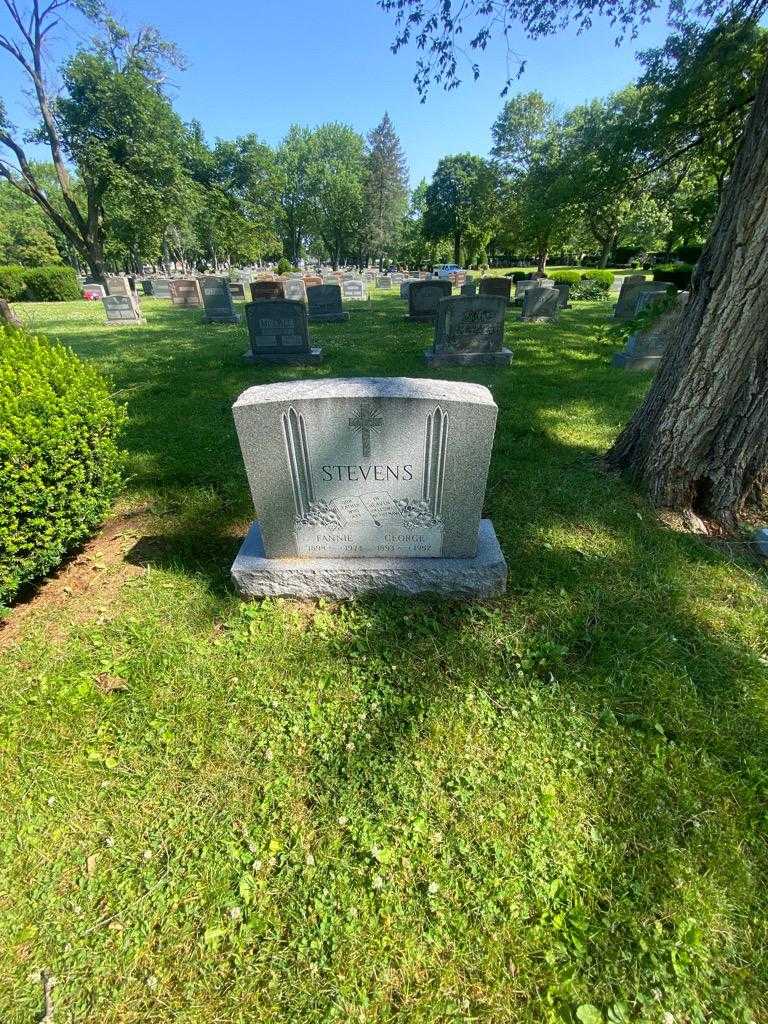 Fannie Stevens's grave. Photo 1