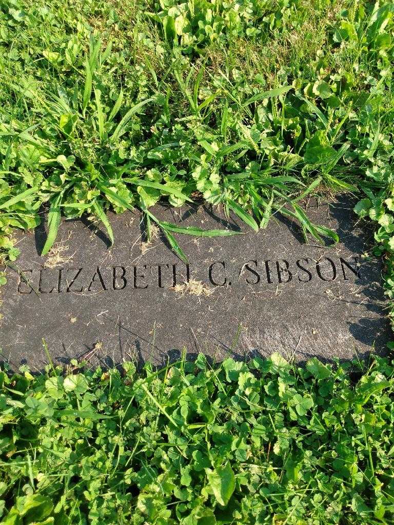 Elizabeth C. Sibson's grave. Photo 3
