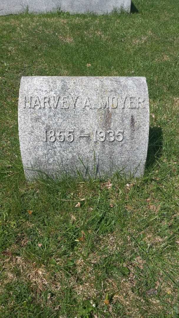 Harvey Allen Moyer's grave. Photo 4