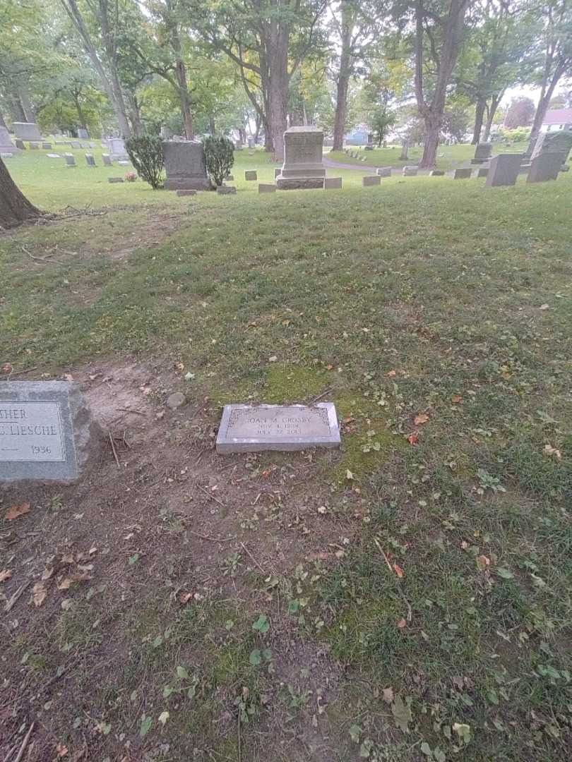 Joan M. Crosby's grave. Photo 4