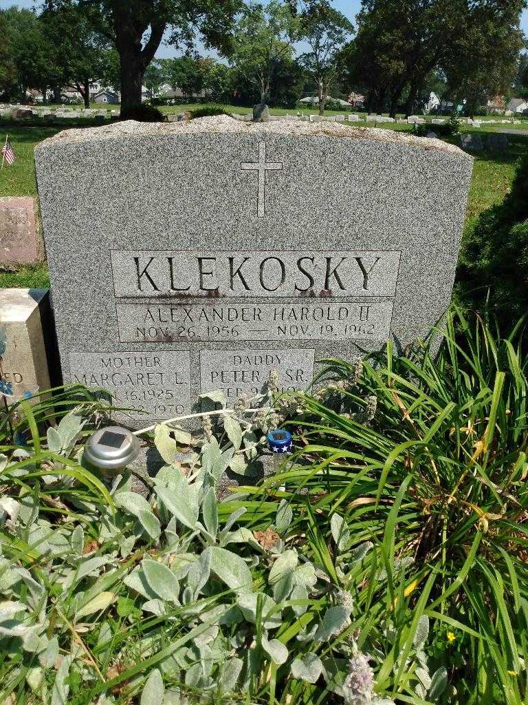 Alexander Harold Klekosky Second's grave. Photo 2