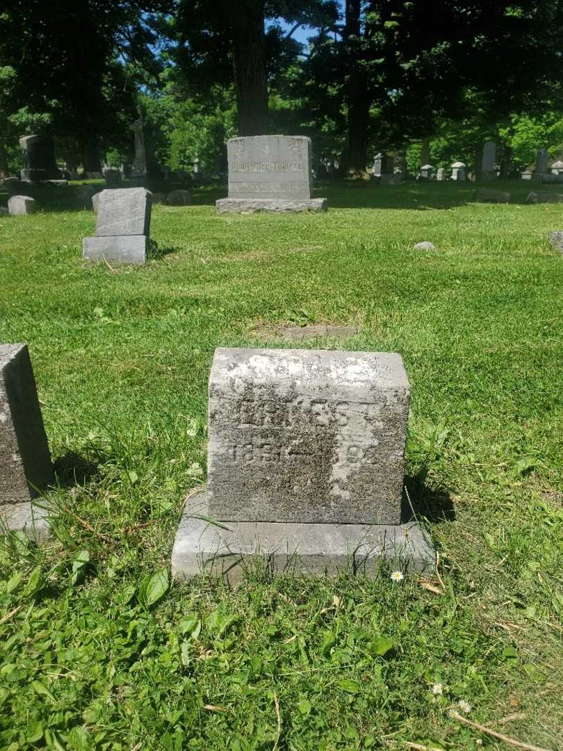 Ernest Rohe's grave. Photo 3