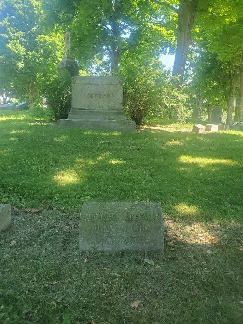 Charles Listman's grave. Photo 1