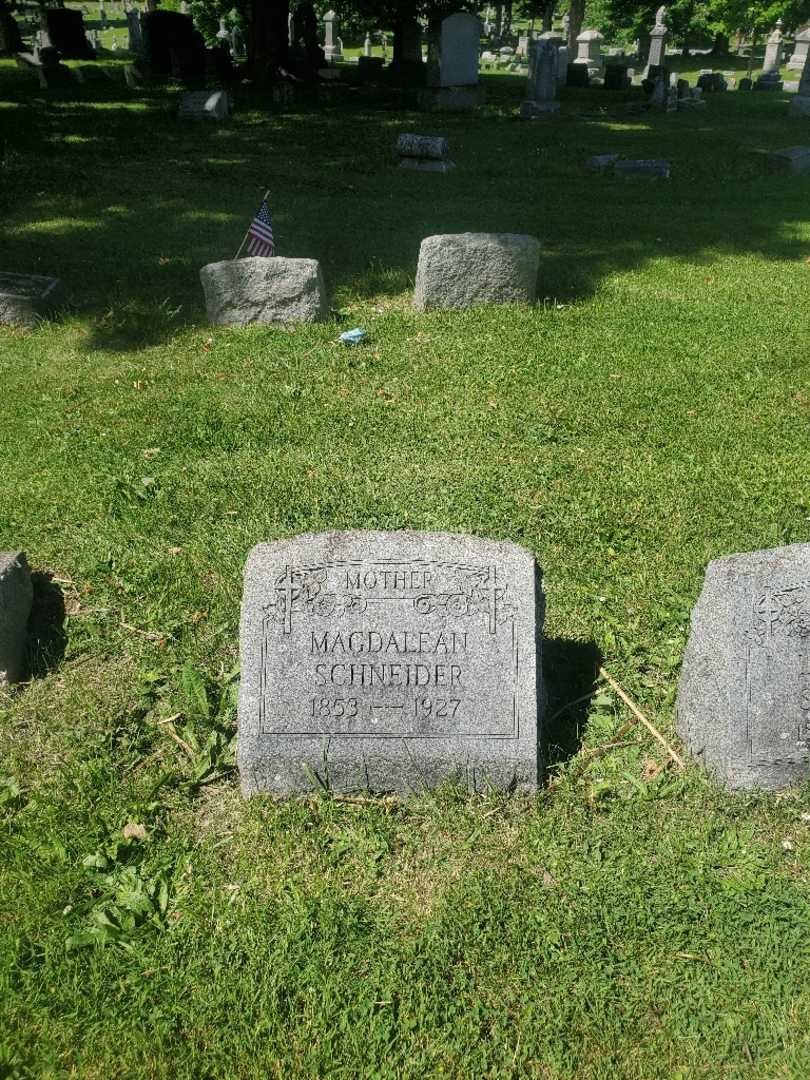 Magdalean Schneider's grave. Photo 3