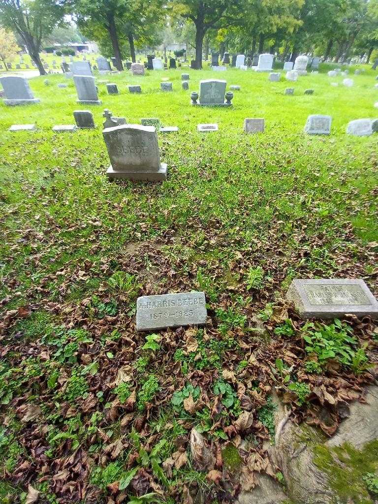 Amos Harris Beebe's grave. Photo 3