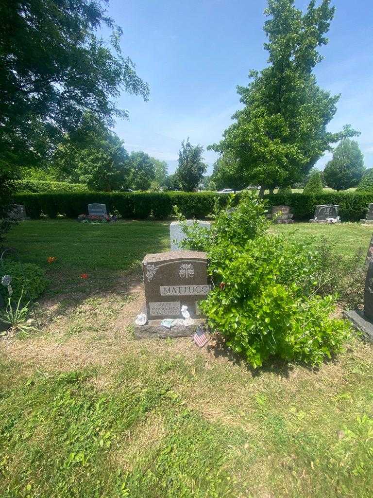 Mary Mattucci's grave. Photo 1