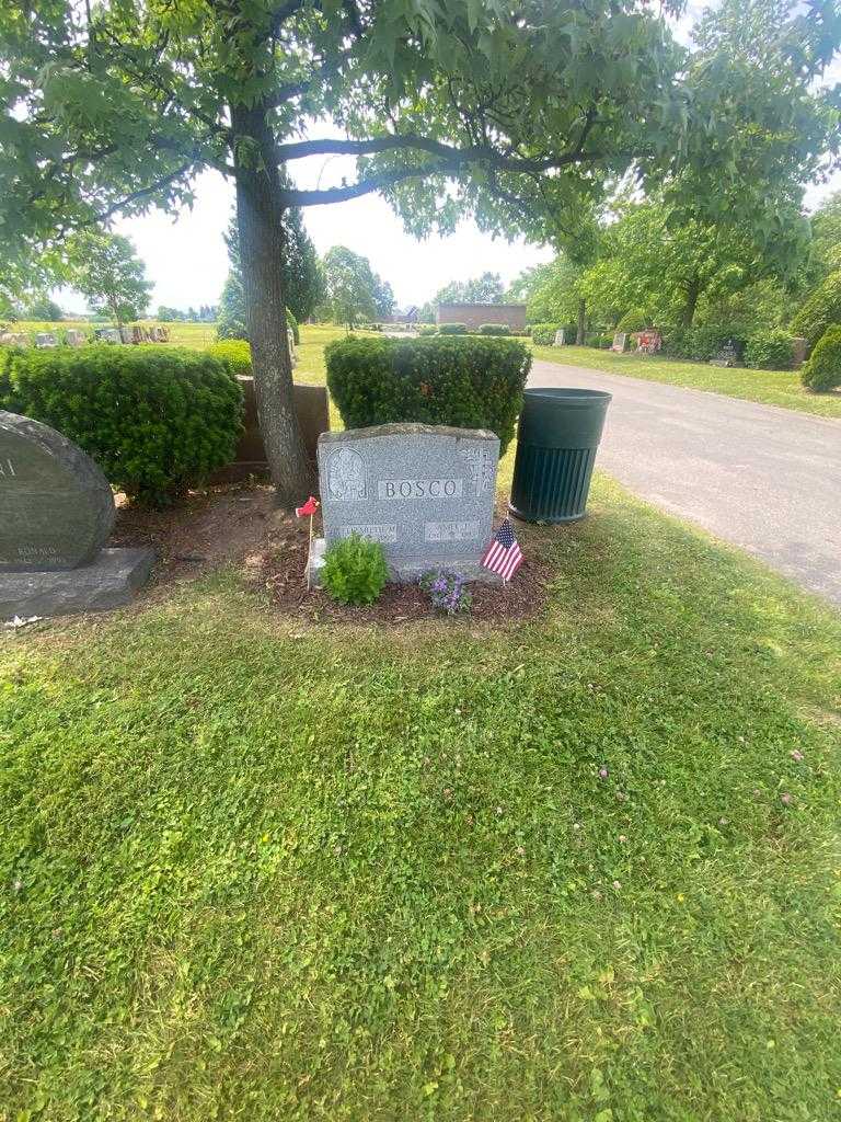 Aniel J. Bosco's grave. Photo 1
