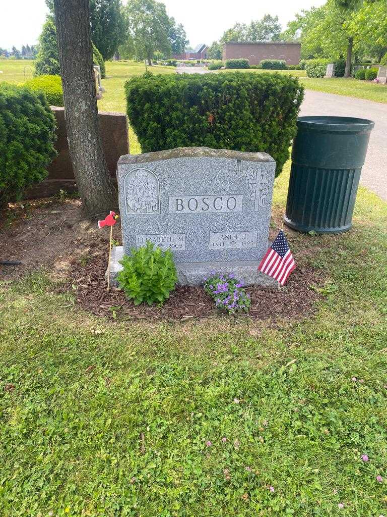 Aniel J. Bosco's grave. Photo 2