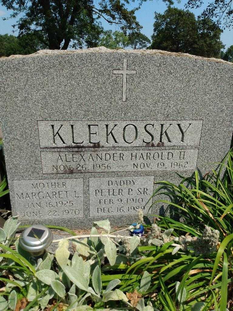 Alexander Harold Klekosky Second's grave. Photo 3