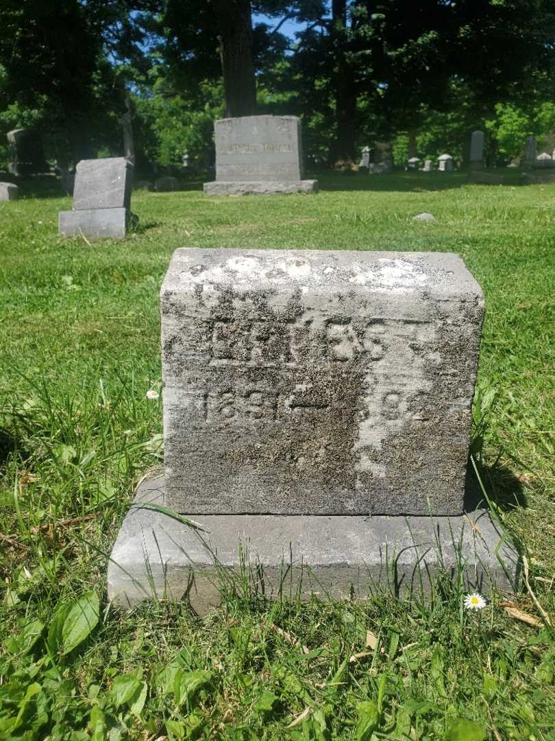 Ernest Rohe's grave. Photo 4