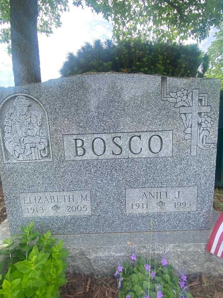 Aniel J. Bosco's grave. Photo 3