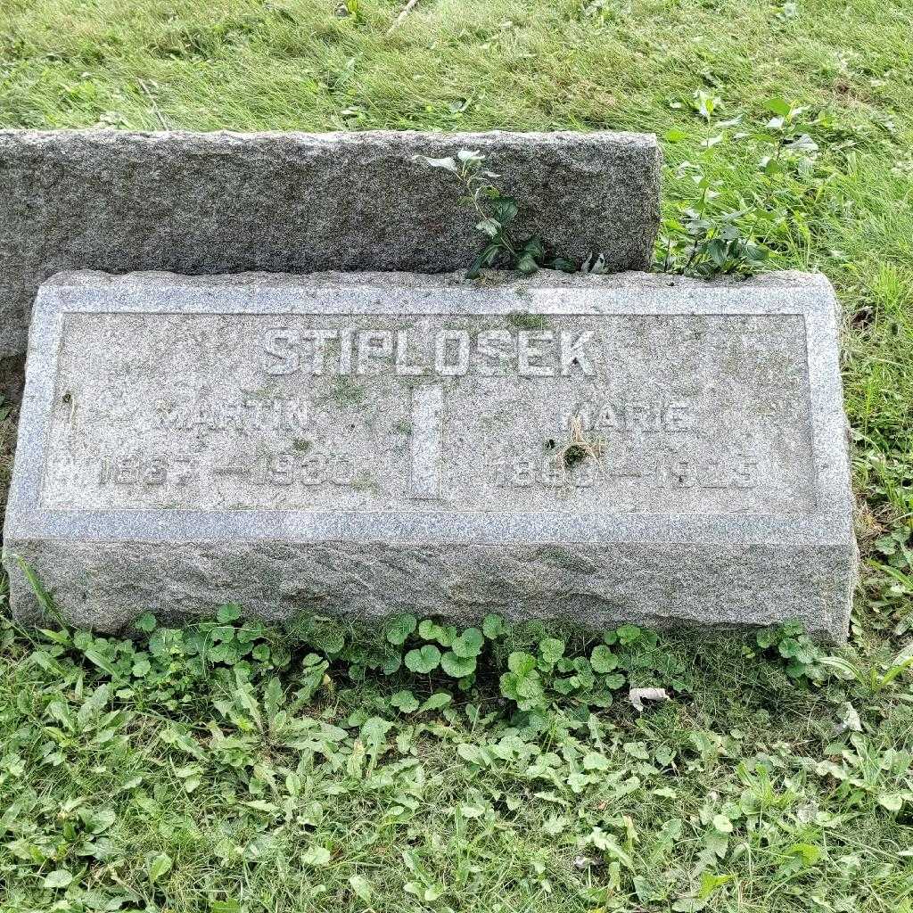 Martin Stiplosek's grave. Photo 3