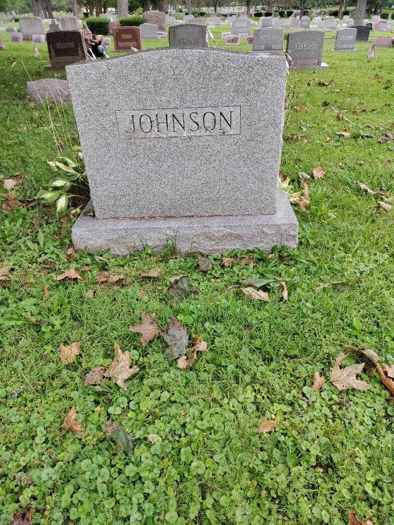 Robert W. Johnson's grave. Photo 1