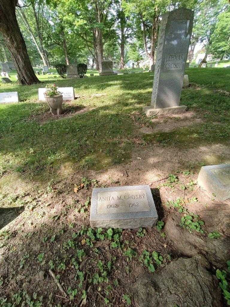 Anita M. Crosby's grave. Photo 1